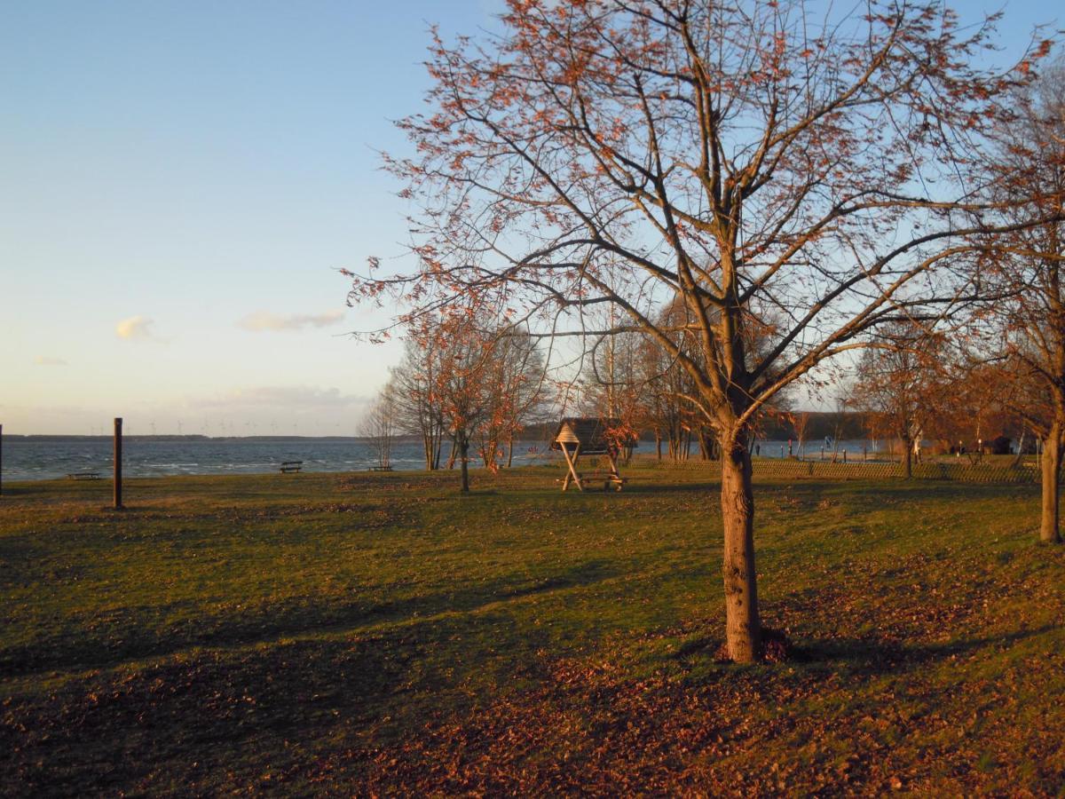 Lenzer Parkblick Am Plauer See Exterior foto